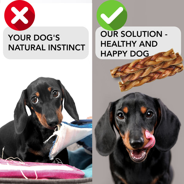 icrokus, braided, bully, sticks, dogs, 100, natural, 6-inch, beef, pizzle, long-lasting, dog, chews, high, protein, low fat, stick, 12, pack