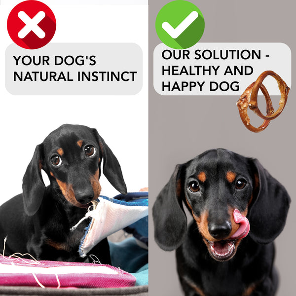 icrokus, bully, ring, dogs, 100, natural, 4-5, inch, beef, pizzle, rings, long-lasting, dog, chews, high protein, low fat, braided, 6, pack