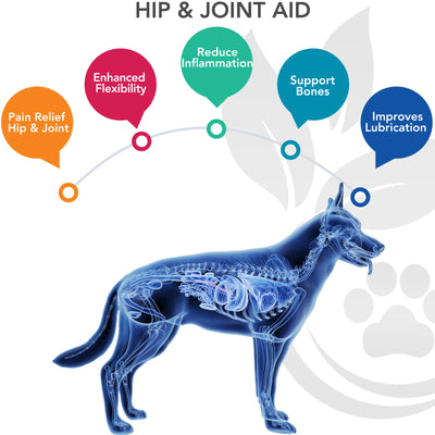 Mobility Chews Hip & Joint Supplements (120 Count)