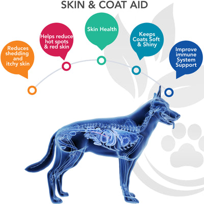 Skin and Coat Supplements for Dog with Wild Salmon Fish Oil (120 count)